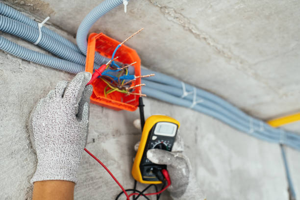 Best Electrical Rewiring Services  in Tiptonville, TN